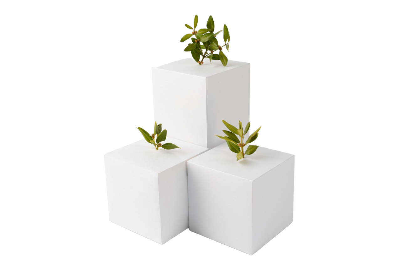 White-label banking solutions for enterprises